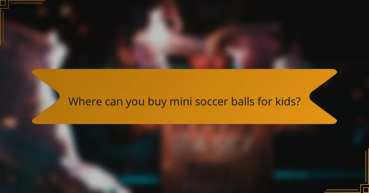 Where can you buy mini soccer balls for kids?