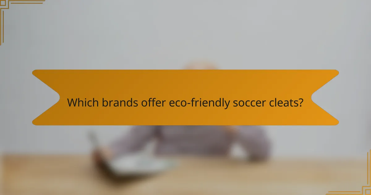Which brands offer eco-friendly soccer cleats?