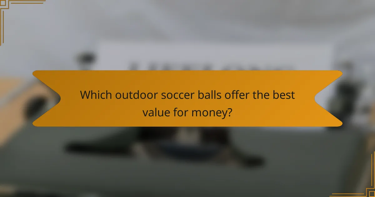 Which outdoor soccer balls offer the best value for money?
