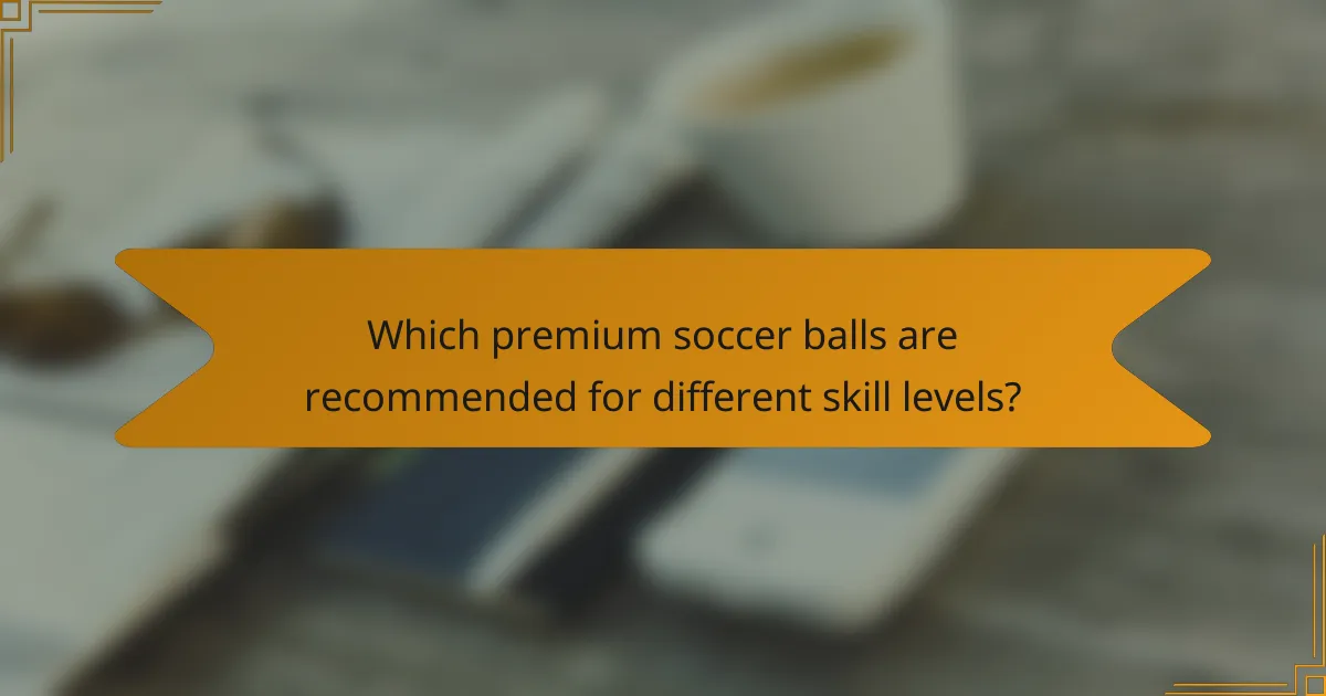 Which premium soccer balls are recommended for different skill levels?